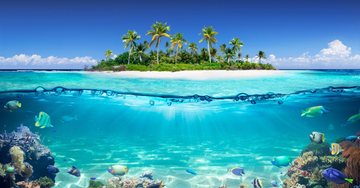 Why is Lakshadweep Known as a Coral Island